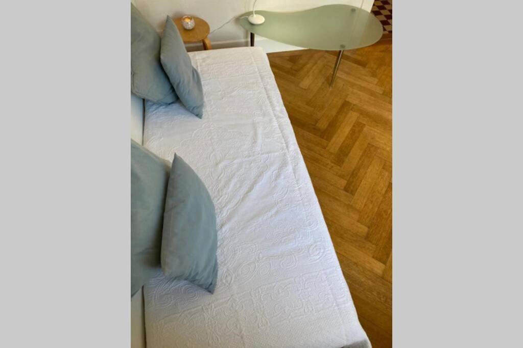 Parking & Appartement 2 Pieces Sans Traffic Lausanne Bagian luar foto