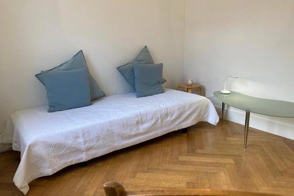 Parking & Appartement 2 Pieces Sans Traffic Lausanne Bagian luar foto