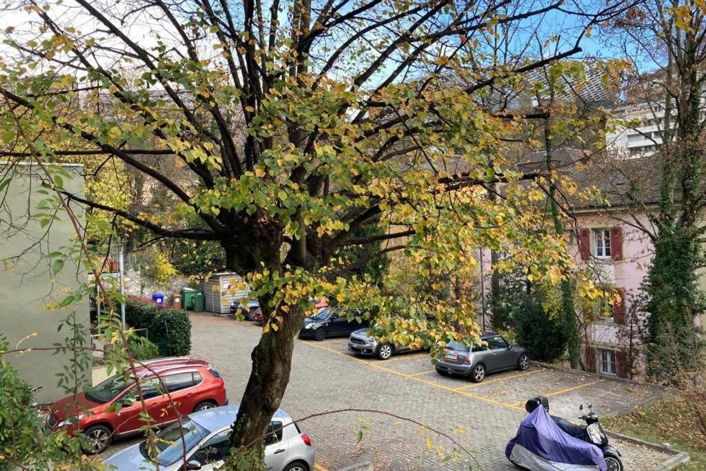 Parking & Appartement 2 Pieces Sans Traffic Lausanne Bagian luar foto
